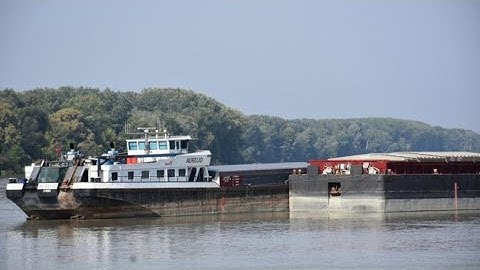 2024.09.21. - Folyamatosan emelkedik a Duna vízszintje Bezdánnál és Apatinnál