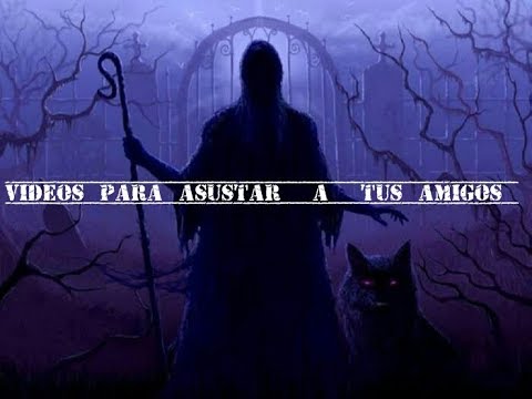 4 videos de