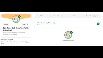 Salesforce Spiff Reporting Fields: Quick Look | Salesforce