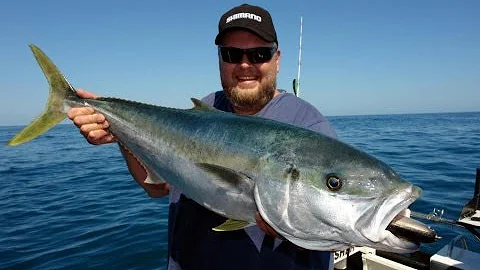 SOUTHERN YELLOWTAIL KINGFISH TOPWATER - YouFishTV part 2