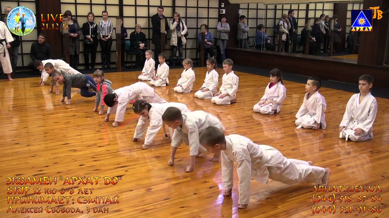 Экзамен, 1-я Младшая А группа, SKIF 12-11 кю (21.12.2015)