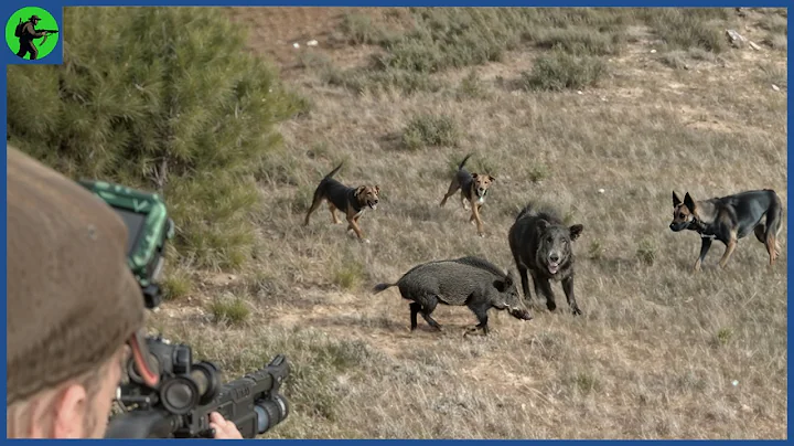 How Do American Hunters Deal With Millions Of Wild Boars | Farming Documentary