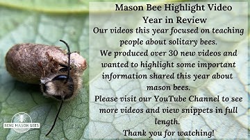 Mason Bee Highlight Video -A Year with Mason Bees