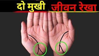 2 mukhi jivan rekha दौलत से लेकर लंबी उम्र तक सारी गुप्त बातें खोल देती है। दो मुखी रेखा #palmistry