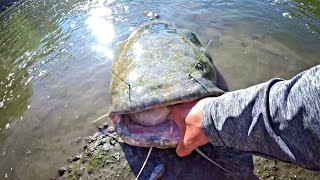 I&#39;VE BEEN CHASING THIS CATFISH MY ENTIRE LIFE!!! (MONSTER)