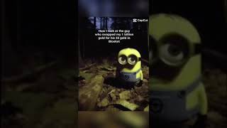 video.mp4