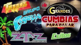 LA MEJOR MEZCLA ENTRE🌴 GRUPO ZAAZ,PEGRASSO,GRUPO TOPAZ ~ MIX CUMBIAS