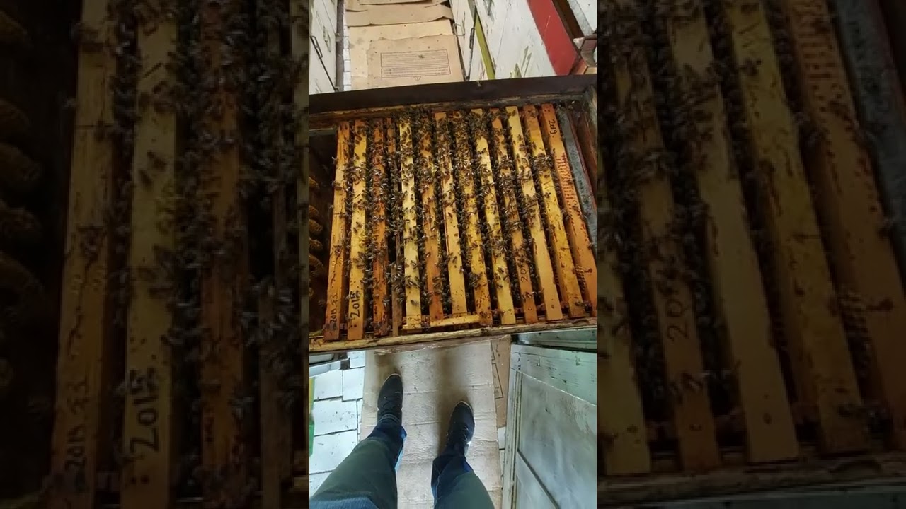 Orizontal 18 rame in pat cald!