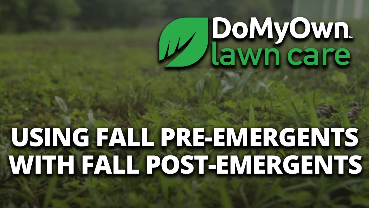 Using Fall Pre Emergents With Fall Post Emergents DoMyOwn YouTube Using fall pre emergents with fall post emergents domyown youtube