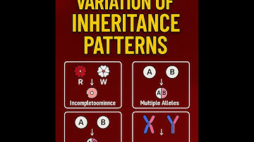 VARIATION OF INHERITANCE PATTERNS.