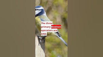 What are boolean operators?