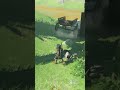 Los perritos regresan a Zelda: Tears of the Kingdom
