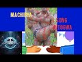 MACHIBYA SONG WITOGWA BY SHABANI KASAMWA GEITA 0789244056 AUDIO 2026