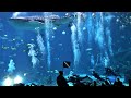 Georgia Aquarium | Atlanta, Georgia | Ocean Voyager Exhibit, Largest Aquarium in the USA