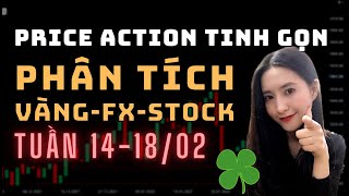 ✅ Phân Tích VÀNG-FOREX-STOCK Tuần 14-18/02 Theo Phương Pháp Price Action Tinh Gọn | TraderViet