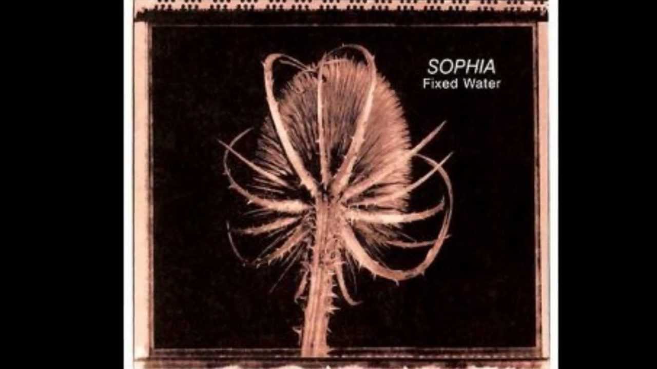Watch Sophia - Another Friend on YouTube Watch Sophia - Another Friend on YouTube