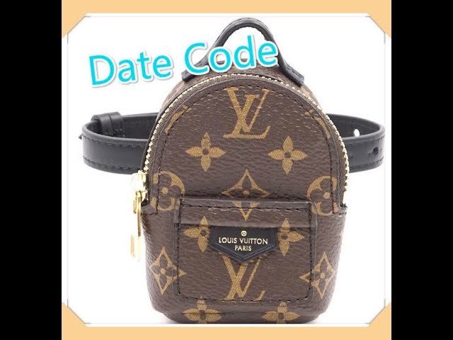 Louis Vuitton Date Code Palm Springs Mini - For Sale on 1stDibs
