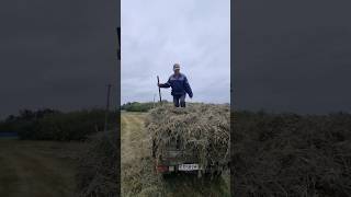Поехали за сеном к соседям. Переезд из города в деревню.