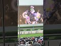 《宝塚記念、直前の豪雨で生ファンファーレ中止》 宝塚記念(GⅠ) 阪神競馬場 20260614