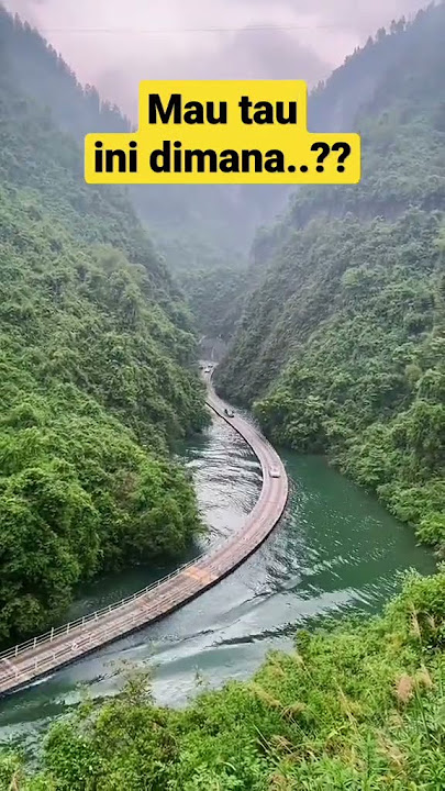 Ter Nyata sukses #shorts #short #jalanjalan #pariwisata #tiktok #bigo #hutan #sungai