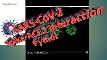 SARS-CoV-2 Spike-ACE2 interaction I Pymol