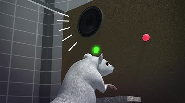 Scientists use optogenetics to erase memories of drug addiction from rats