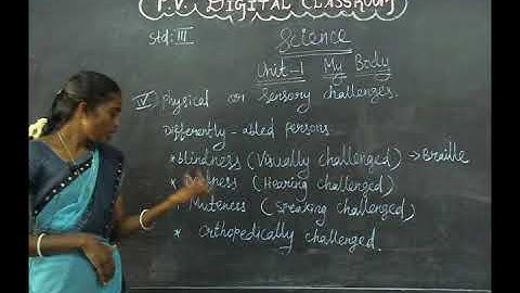 III STD - SCIENCE - MY BODY Part 3