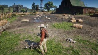 RDR2 - Kicking cats in the farm