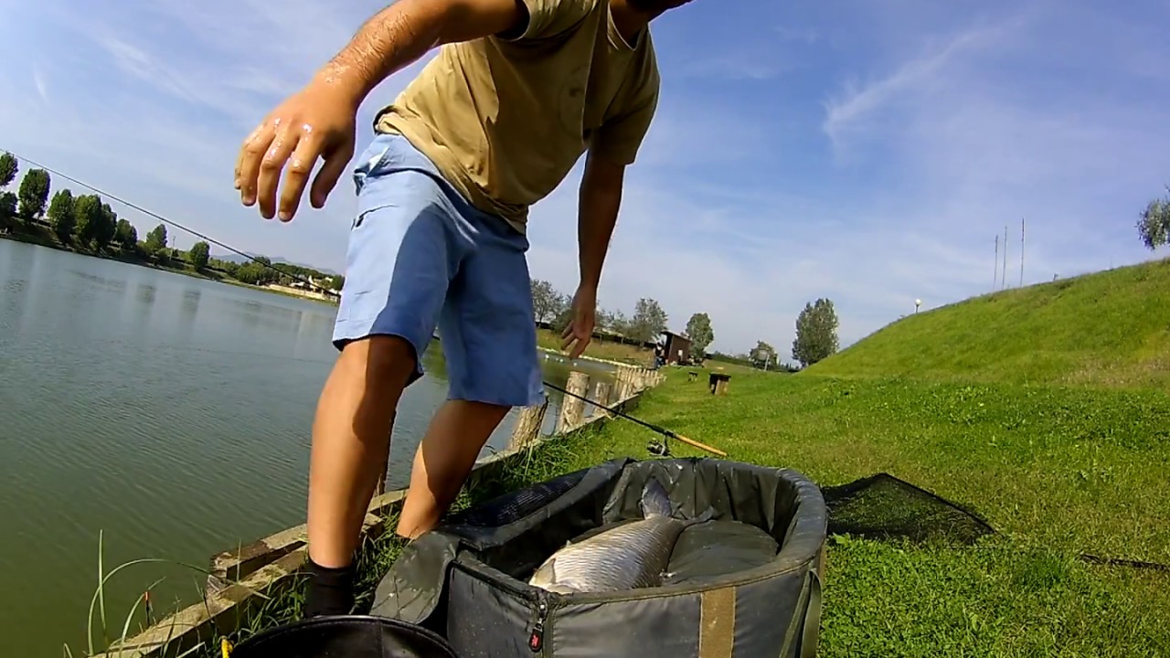 Pesca all'inglese Oasi al LAgo, Amur 16 KG YouTube Pesca all'inglese Oasi al LAgo, Amur 16 KG YouTube