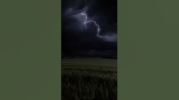 سوره ابراهيم |قارئ محمد اللحيدان #راحة_نفسية_قرآن #فلسطين