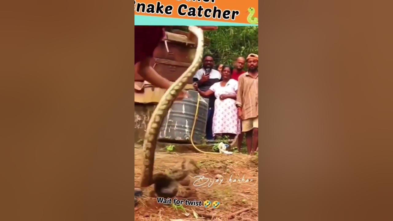 snake funny video🐉snake funny video prank🐛snake island//snake movie/ Gujarat_hindi_english YouTube