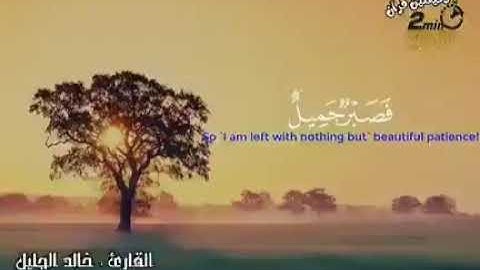قَالَ بَلْ سَوَّلَتْ لَكُمْ أَنفُسُكُمْ أَمْرًا ♥️ سورة يوسف