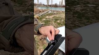 ONE SHOT 80M 💥 | Hatsan Mod 125 Sniper