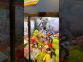 Bobs Burgers 2 in 1 at the claw machine #bobsburgers #clawmachine
