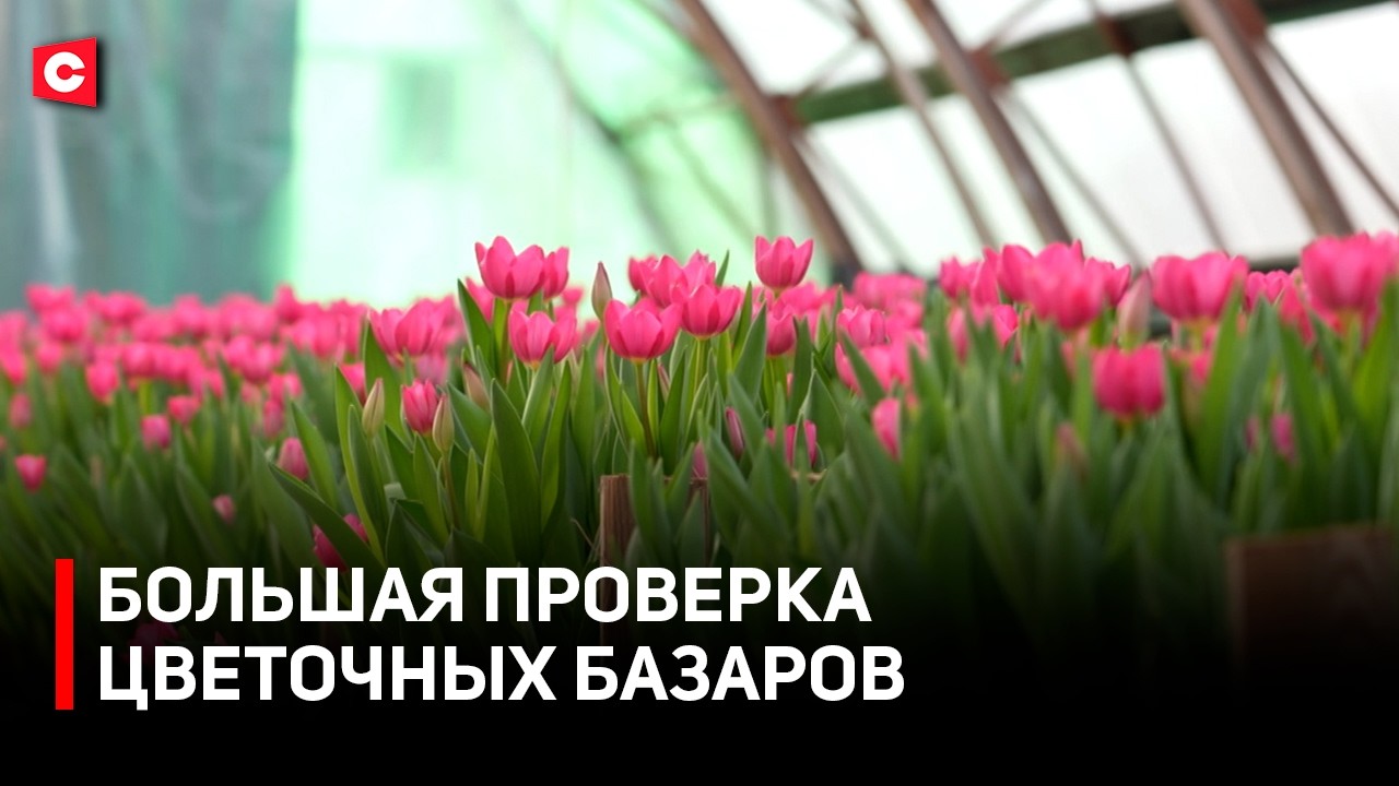 Как продавать цветы и не получить штраф? Рейд МАРТ по цветочным базарам