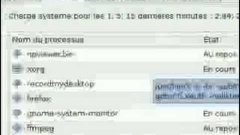 Ubuntu - Demo - Screencasting my desktop in a virtual webcam