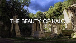The Beauty of Halo