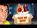 DO NOT Take This Cat Home!