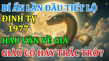 TUỔI ĐINH TỴ 1977 – Hậu Vận Về Già Giàu Có Hay Trắc Trở? BÍ ẨN LẦN ĐẦU ĐƯỢC TIẾT LỘ | Dịch Đạo Quán