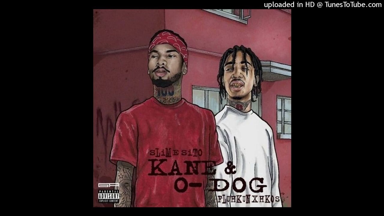 fluhkunxhkos x sn8ke x slimesito type beat 