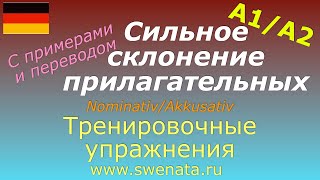 :       (Nominativ/Akkusativ)  