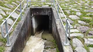 Hochwasser-Rückhaltebecken Allschwil (13.07.2021)