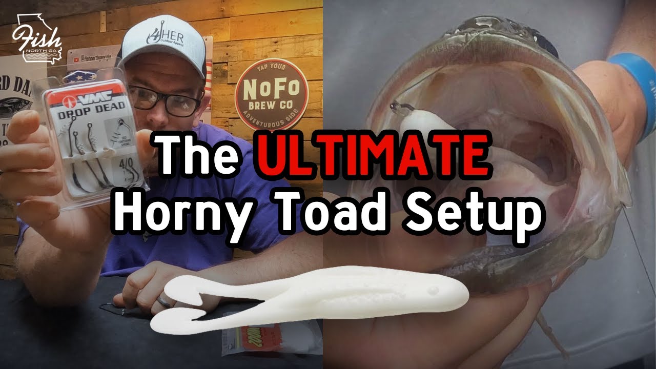 The ULTIMATE Horny Toad Setup For Explosive Topwater Bites! - YouTube