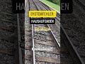 Hausaufgaben: Die grösste Lüge? 🏠❌ #shorts