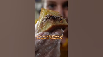 Thumbnail of First Time Eating Martabak Manis in Indonesia 🇮🇩