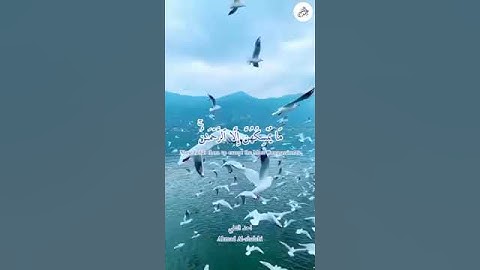 من سورة الملك - القارئ أحمد الشلبي - Ahmad Al-Shalabi