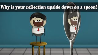 Concave Mirror - Why is your reflection upside down on a spoon? | #aumsum #kids #science