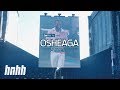 Osheaga 2019 Recap
