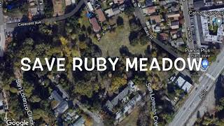 Ruby Meadow Flyover