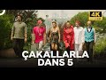 Çakallarla Dans 5 | 4K Komedi Filmi İzle 🎬